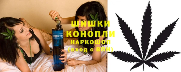 сатива Абинск