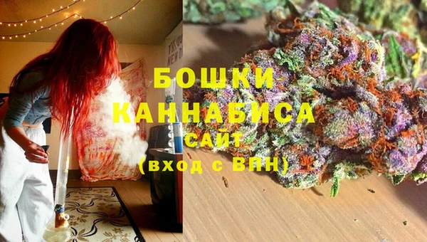 сатива Абинск