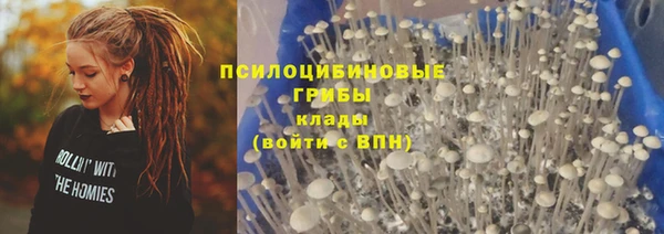 соль курить ск Михайлов