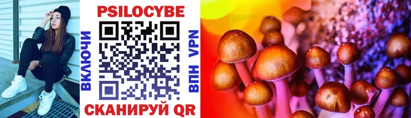 Псилоцибиновые грибы Psilocybine cubensis Юрюзань